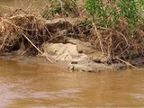 Madagaskar_151