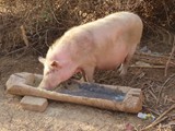 Madagaskar_171