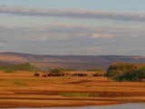 Madagaskar_173