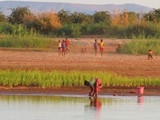 Madagaskar_174