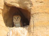 Madagaskar_182