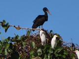 Madagaskar_185