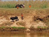 Madagaskar_192