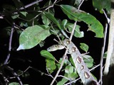 Madagaskar_204