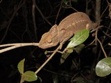 Madagaskar_205