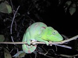 Madagaskar_207