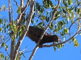 Madagaskar_213