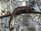 Madagaskar_217