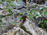 Madagaskar_226
