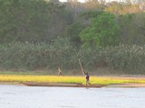 Madagaskar_232