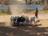 Madagaskar_238