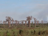 Madagaskar_248