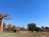 Madagaskar_250