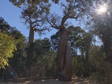Madagaskar_254