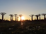 Madagaskar_256