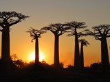 Madagaskar_258