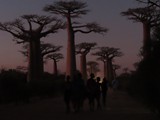 Madagaskar_261