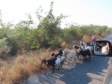 Madagaskar_295