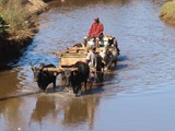 Madagaskar_307