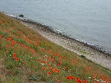 Schweden_076