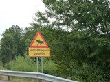 Schweden_085