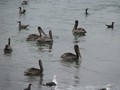das_beste_vom_westen_029