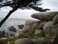 das_beste_vom_westen_038