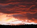 das_beste_vom_westen_173