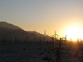 das_beste_vom_westen_221