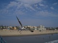 das_beste_vom_westen_246