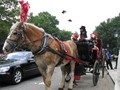 usa_2009_07_16 15_22_20