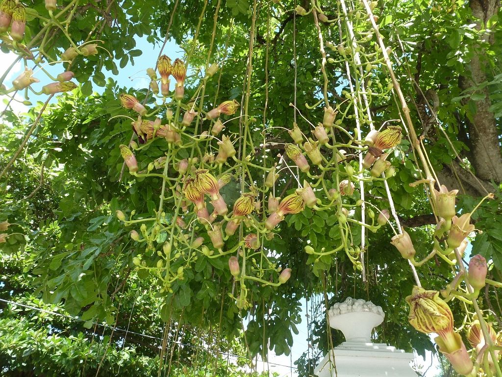 usa_2012_08.05_11-51-28