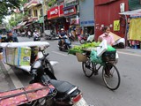 vietnam+kambodscha_018