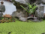 vietnam+kambodscha_041