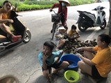 vietnam+kambodscha_119