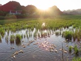 vietnam+kambodscha_121