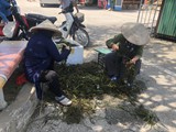 vietnam+kambodscha_133