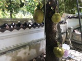 vietnam+kambodscha_135
