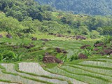 vietnam+kambodscha_155