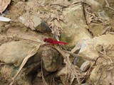 vietnam+kambodscha_157