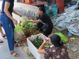 vietnam+kambodscha_170