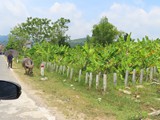 vietnam+kambodscha_172