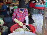 vietnam+kambodscha_244