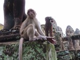 vietnam+kambodscha_337