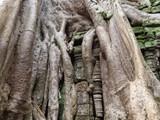 vietnam+kambodscha_364