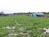 vietnam+kambodscha_392