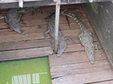 vietnam+kambodscha_393