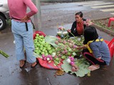 vietnam+kambodscha_406
