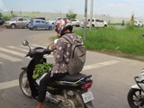 vietnam+kambodscha_474