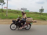 vietnam+kambodscha_482